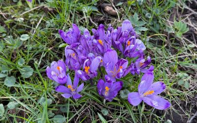 645808556_1477982003987901_854427633639984267_n